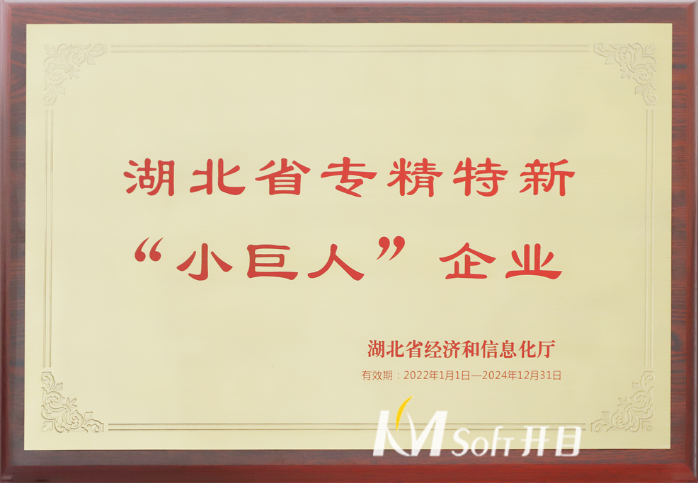 湖北省專精特新小巨人企業(yè)